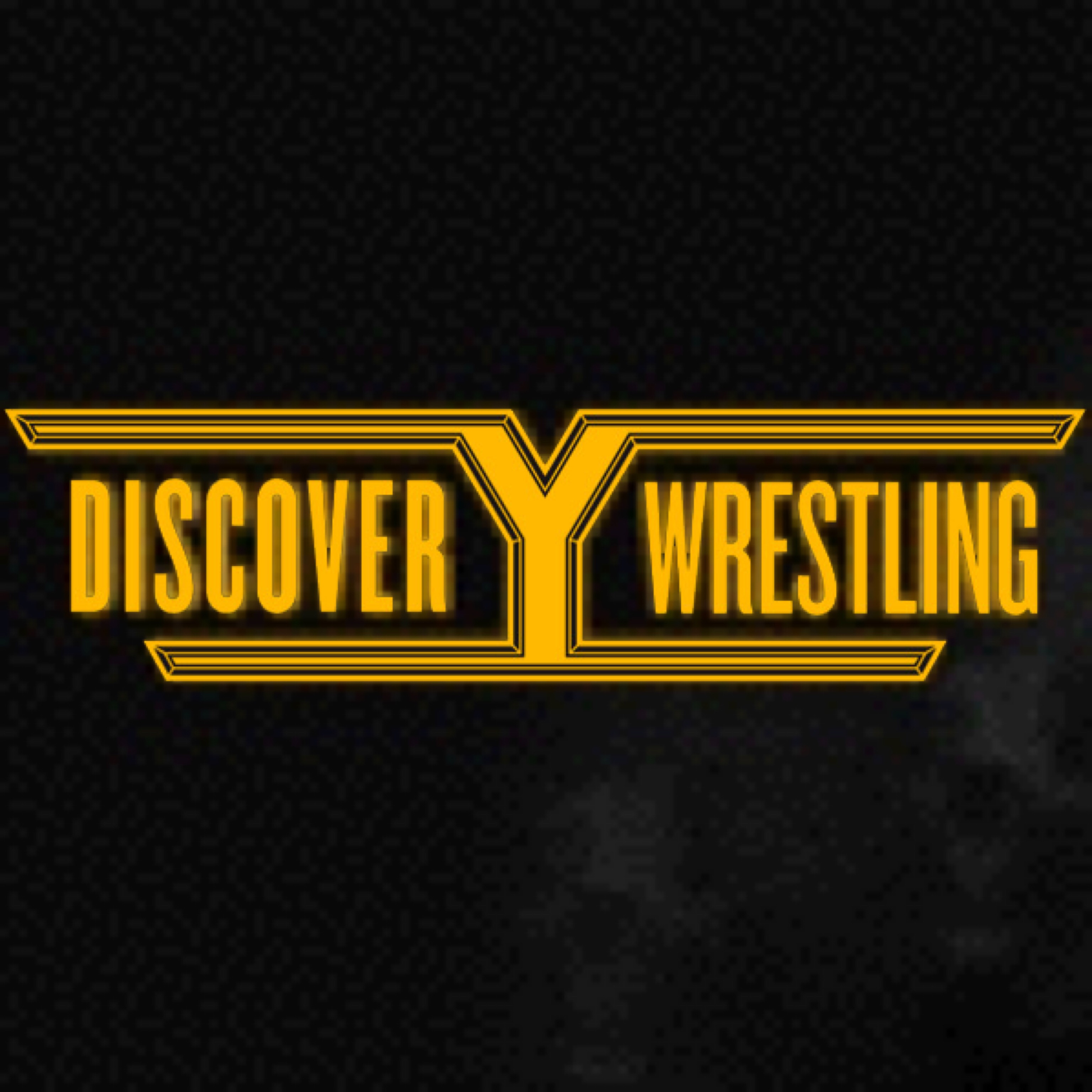 Discovery Wrestling: A 2019 Recap